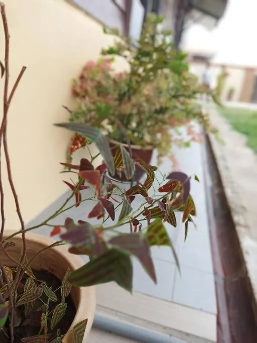 Ipoh Buntong Corner Homestay מלזיה